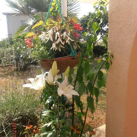 Steblaj Apartamento